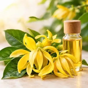 نت گل یلانگ یلانگ | رایحه گل یلانگ یلانگ در عطر