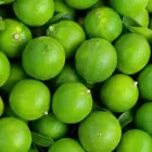 برگاموت (ترنج)