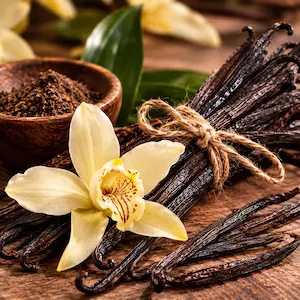 نت عطر وانیل بوربون | رایحه وانیل بوربون در عطر